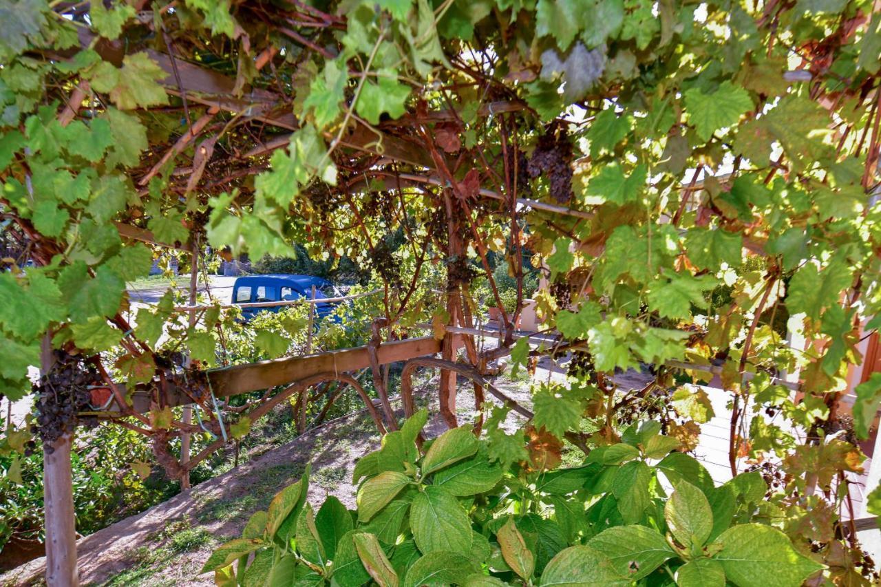 Agriturismo Sardo Villa Campavaglio Eksteriør bilde